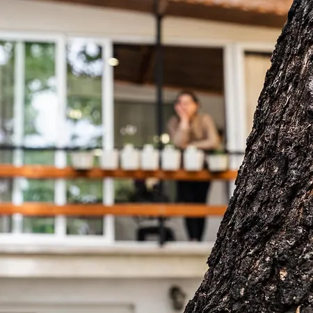 Cozy In Center דירה *