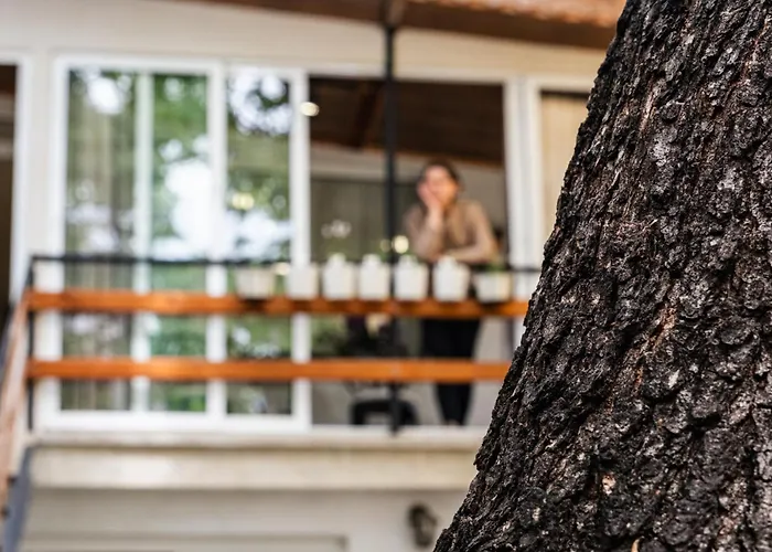 Cozy In Center Appartement *